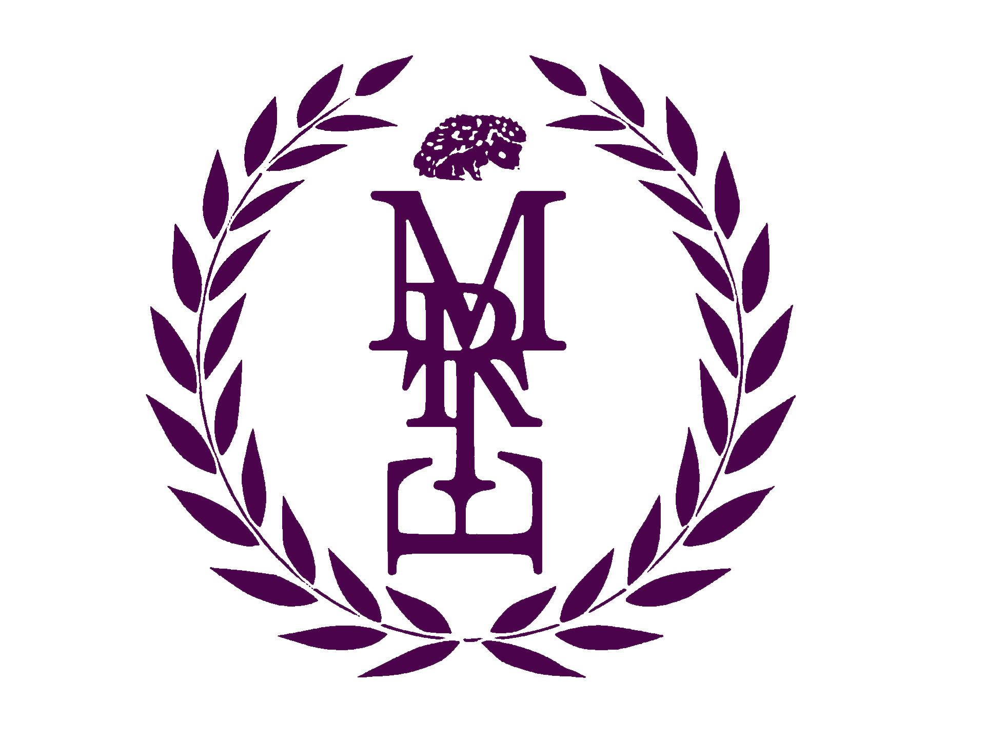 erizoz morado